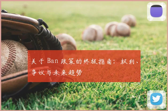 关于 Ban 政策的终极指南:权利、争议与未来趋势