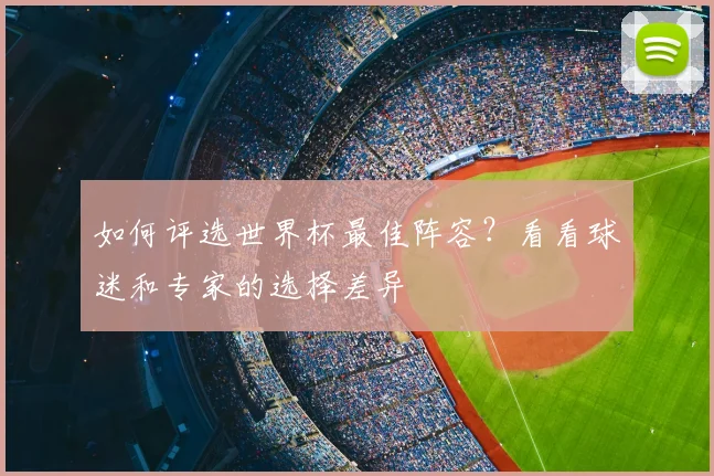 如何评选世界杯最佳阵容？看看球迷和专家的选择差异